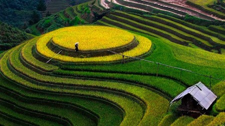 ivivu-tour-mien-bac-4n3d-ha-noi-suoi-giang-tu-le-mu-cang-chai-tu-le-