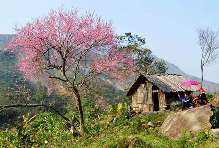 tour-du-lich-lao-cai-sapa-6-ngay-5-dem